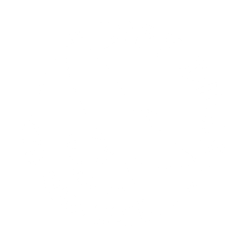 Dirt Divas logo